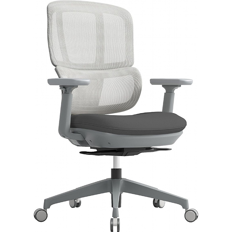 Shelby Ergonomic Mesh Office Chairs