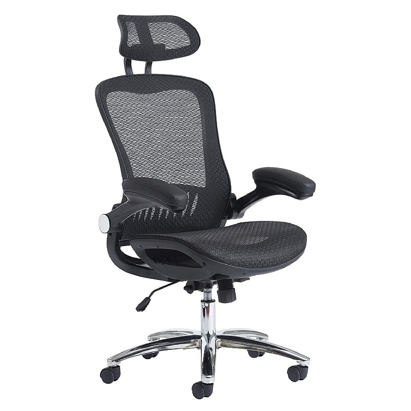 Curva Executive Mesh Office Chair