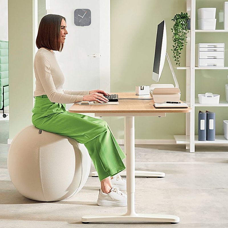 Leitz Ergo Active Sitting Balls