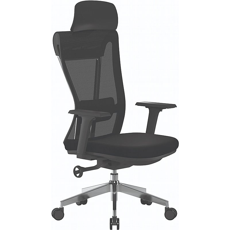 Moritz Eco-Friendly 24 Hour Ergonomic Mesh Office Chair - Office Chairs