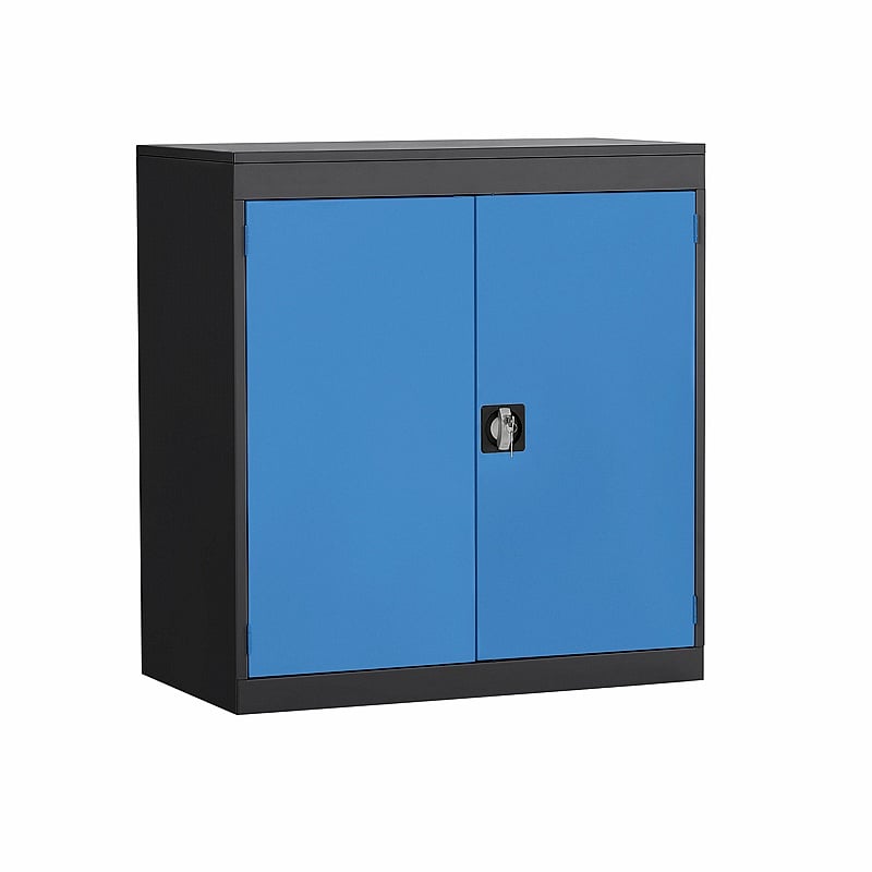 Atom Low Commercial Probe Cupboard - Office Storage